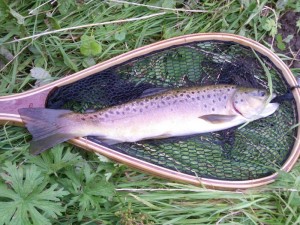 River Wye September
