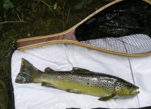River Goyt September