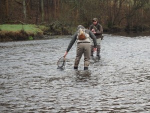 Steve lands another for John A
