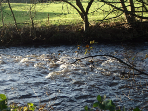 Raging river